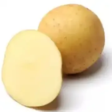Сорта картофеля для Республики Башкортостан названия, фото, описание