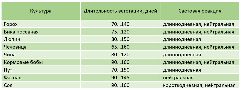 Ответ на упр. №88 стр Рабочая тетрадь. Биология. 6 класс. Пасечник | DNSIS авторские ГДЗ