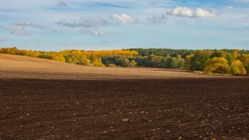 © Виталий Рыбалко / Glavagronom.ru