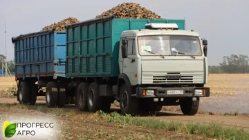 пресс-служба ГК «Прогресс Агро»