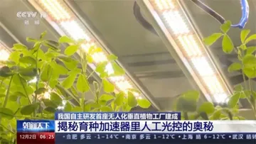 Выращивание зелени на вертикальной ферме в Китае