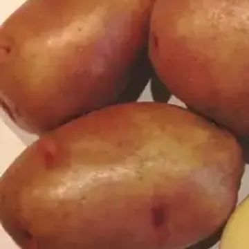 ГлавАгроном - Картофель МАТУШКА