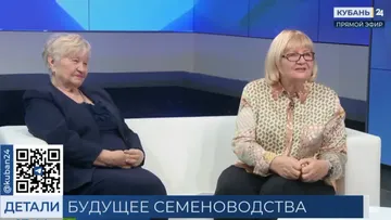 скриншот прямого эфира программы «Детали» на канале «Кубань-24»