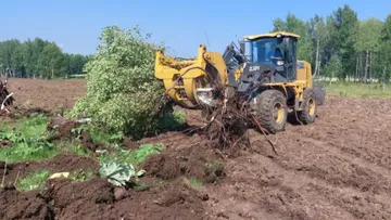 Алексей Курьянович ввел в оборот 349 га залежных земель