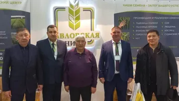 Павловская нива