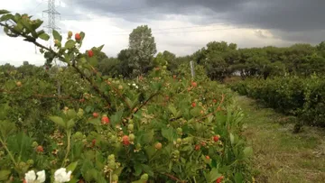 Zarzamora Ecotours