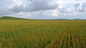 пресс-служба минсельхоза Забайкалья