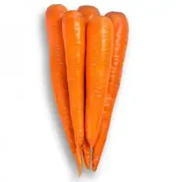 Что делать и как избежать белой сердцевины у моркови