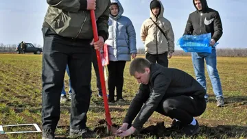 Исследование жизнеспособности озимой пшеницы в ЛНР