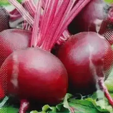 ГлавАгроном - Свекла столовая БОРДОВЫЙ ДЕЛИКАТЕС