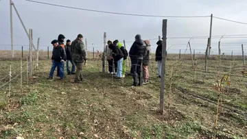 Студенты кафедры «Виноградарство и Виноделие изучали методы обрезки и укрытия виноградной лозы