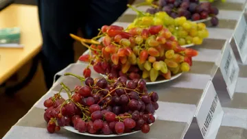 пресс-служба Кубанского ГАУ