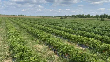 Министерство сельского хозяйства и продовольствия Рязанской области