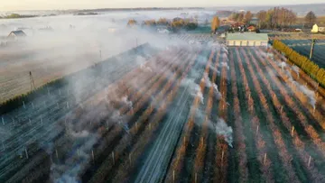 Обогрев виноградника в Польше