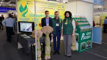 zarexpo.ru