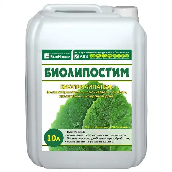 Башинком Башинком
