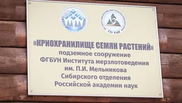 Сегодня в криохранилище Якутии содержится 11,5 тысяч образцов семян растений