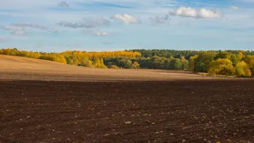 © Виталий Рыбалко / Glavagronom.ru