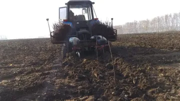 Сейчас в садоводческих хозяйствах Рязанской области в разгаре весенние полевые работы