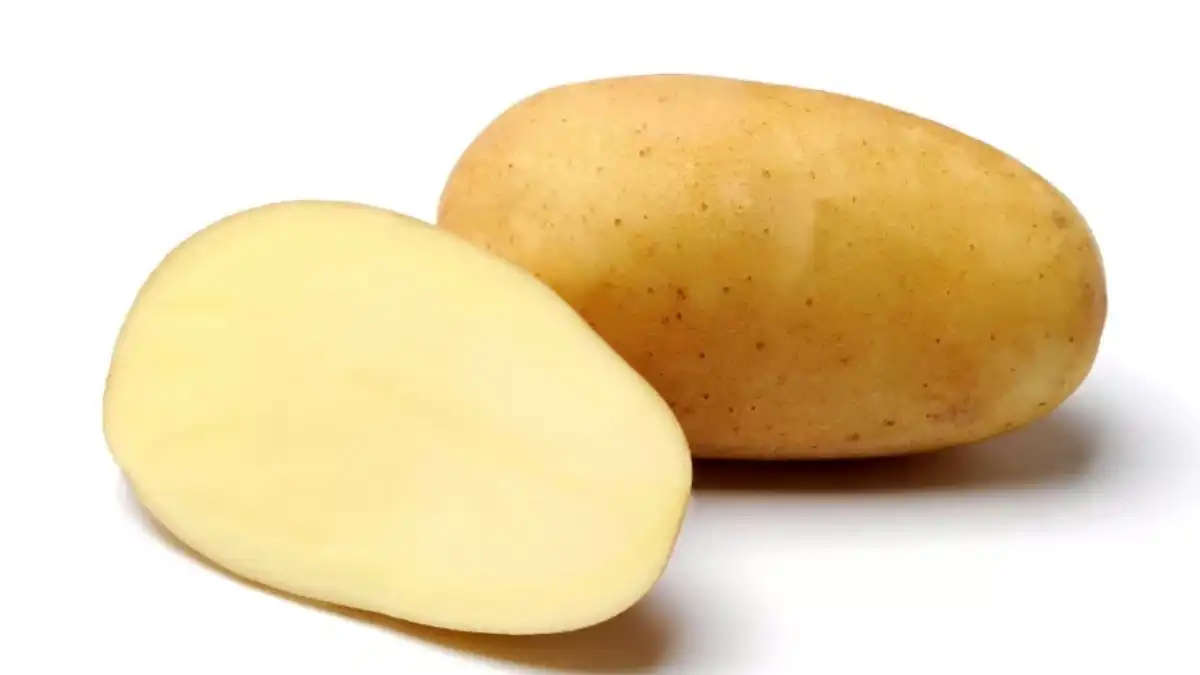 Донат описание сорта. Картофель сорт Донато. Картофель сорт доната. Омега картошка. Доната картофель характеристика.