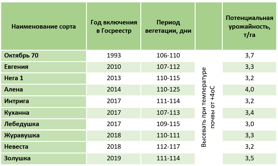 Сорта сои характеристика. Страны Лидеры по выращиванию сои. Сорт сои дебют. Фотографии сортов сои и характеристики. Варка сои сорта Аляска фото.