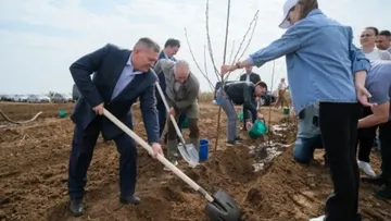 из произведенных 1,9 млн тонн в 2023 году более 190 тысяч пришлось на Волгоградский регион