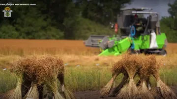 скриншот видео ВНИИМК