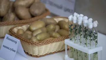 Дмитрий Патрушев посетил лабораторию микроклонального размножения картофеля в Новгородской области