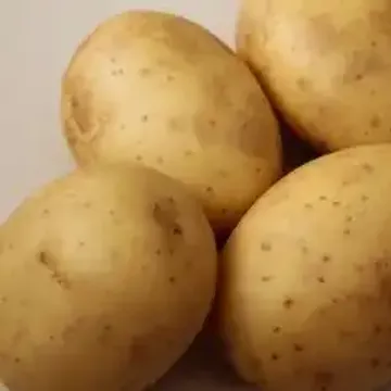 Характеристики картофеля Бонус