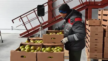 ООО «Брянский сад» запустило первую очередь плодохранилища