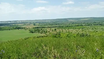 Масштабы проявления конфликтов сельскохозяйственного и промышленного природопользования увеличиваются в восточном и северо-восточном направлении