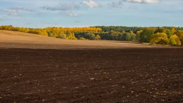 © Виталий Рыбалко / Glavagronom.ru