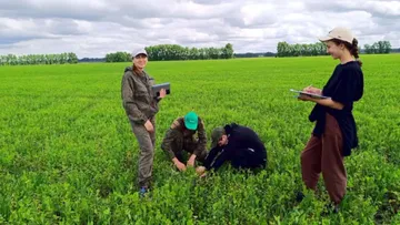 Команда ученых Алтайского ГАУ оценила засоренность полей в хозяйстве ООО «Степной»