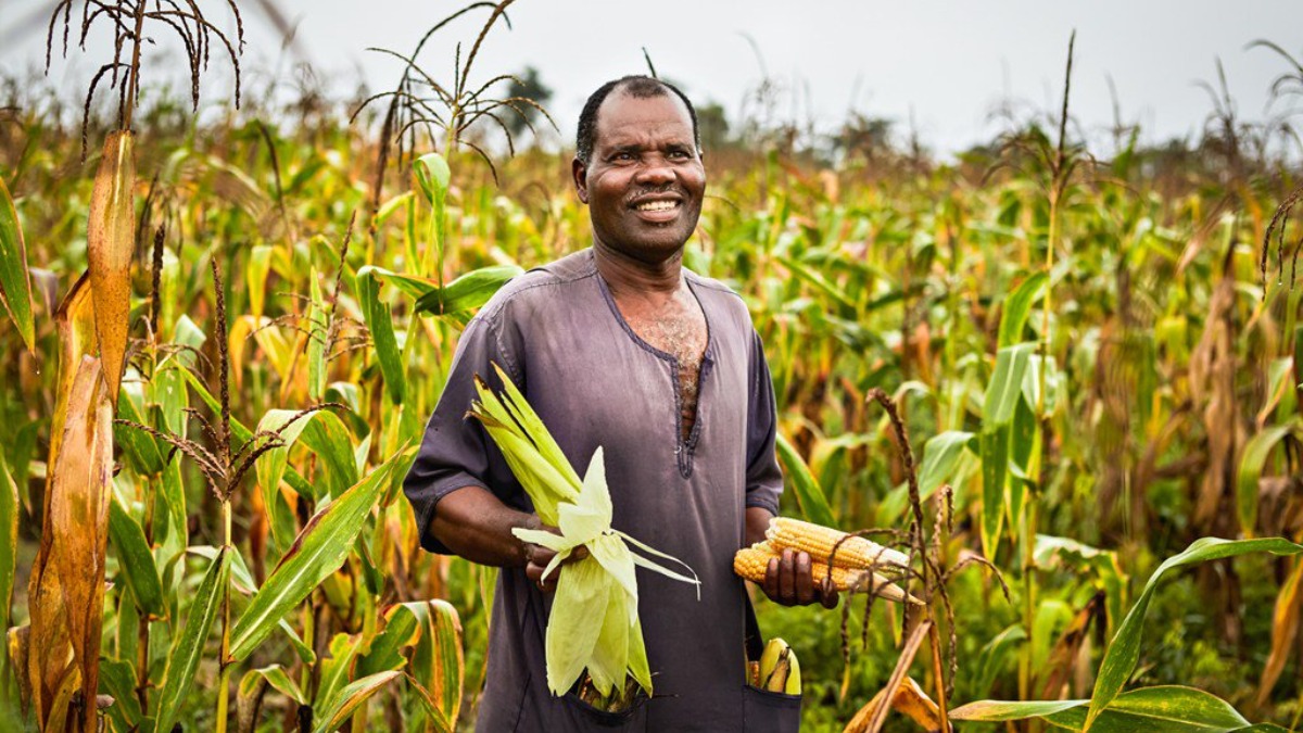 Демократическая Республика Конго сельское хозяйство