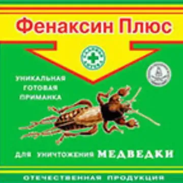 Картофель Земляника